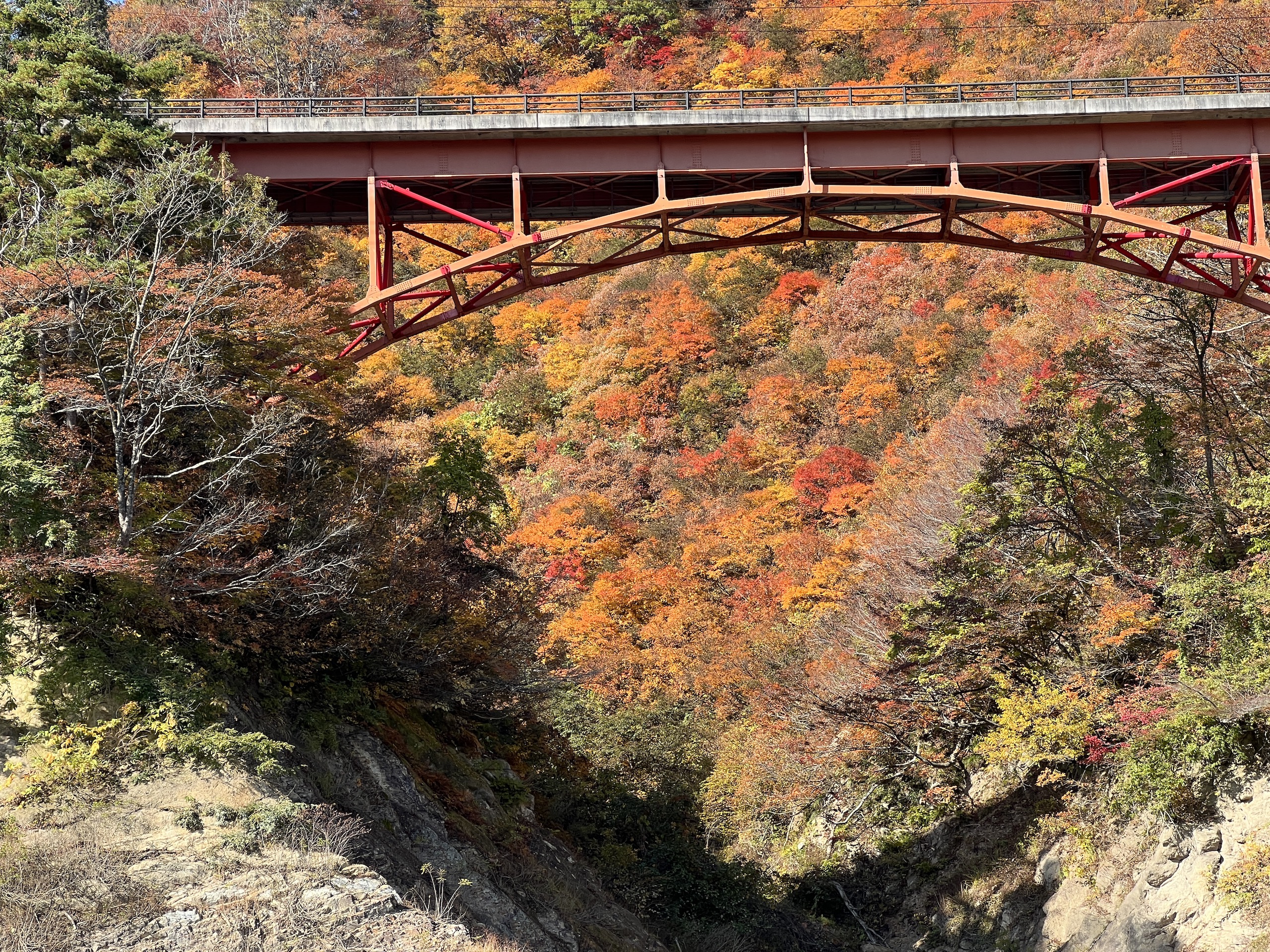 紅葉に包まれる白川湖の橋