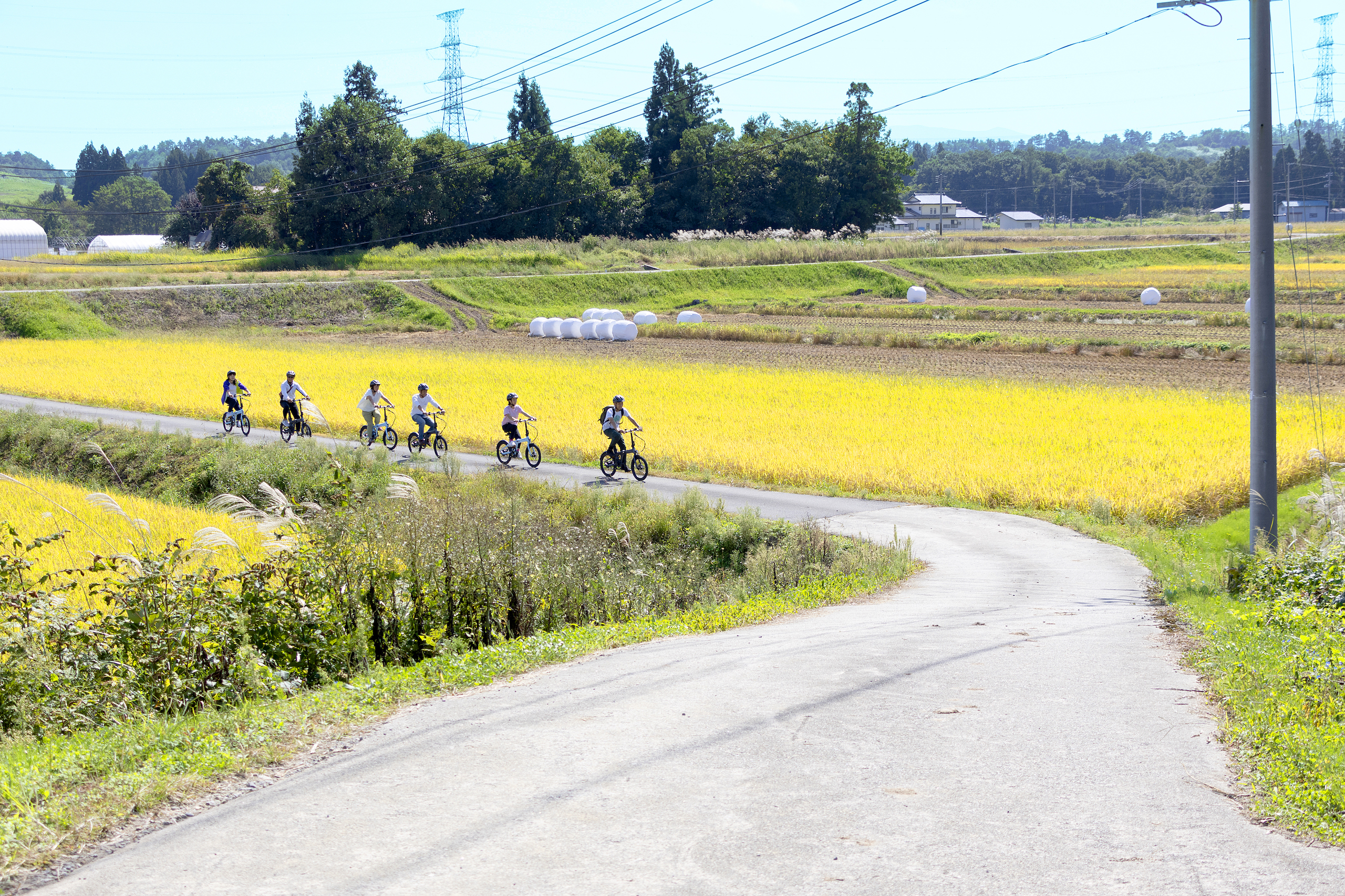 田んぼの間をサイクリング