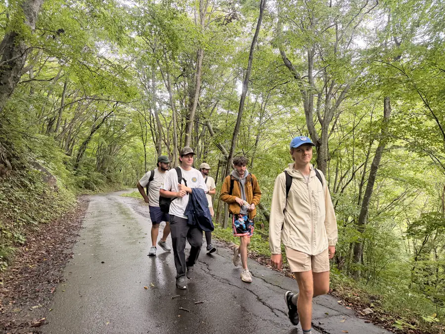 Travelers walking a forest road toward Namekawa Onsen