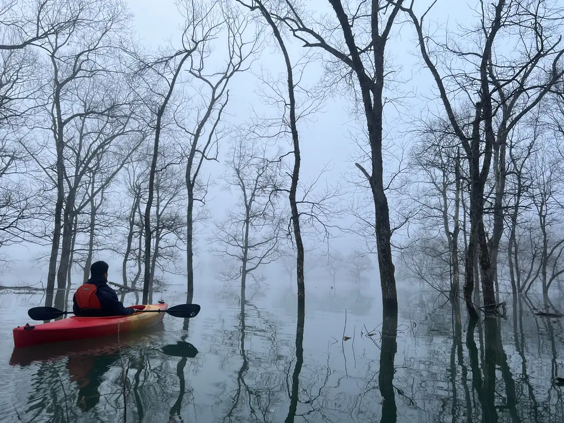 Watch: the White Forest, in early spring