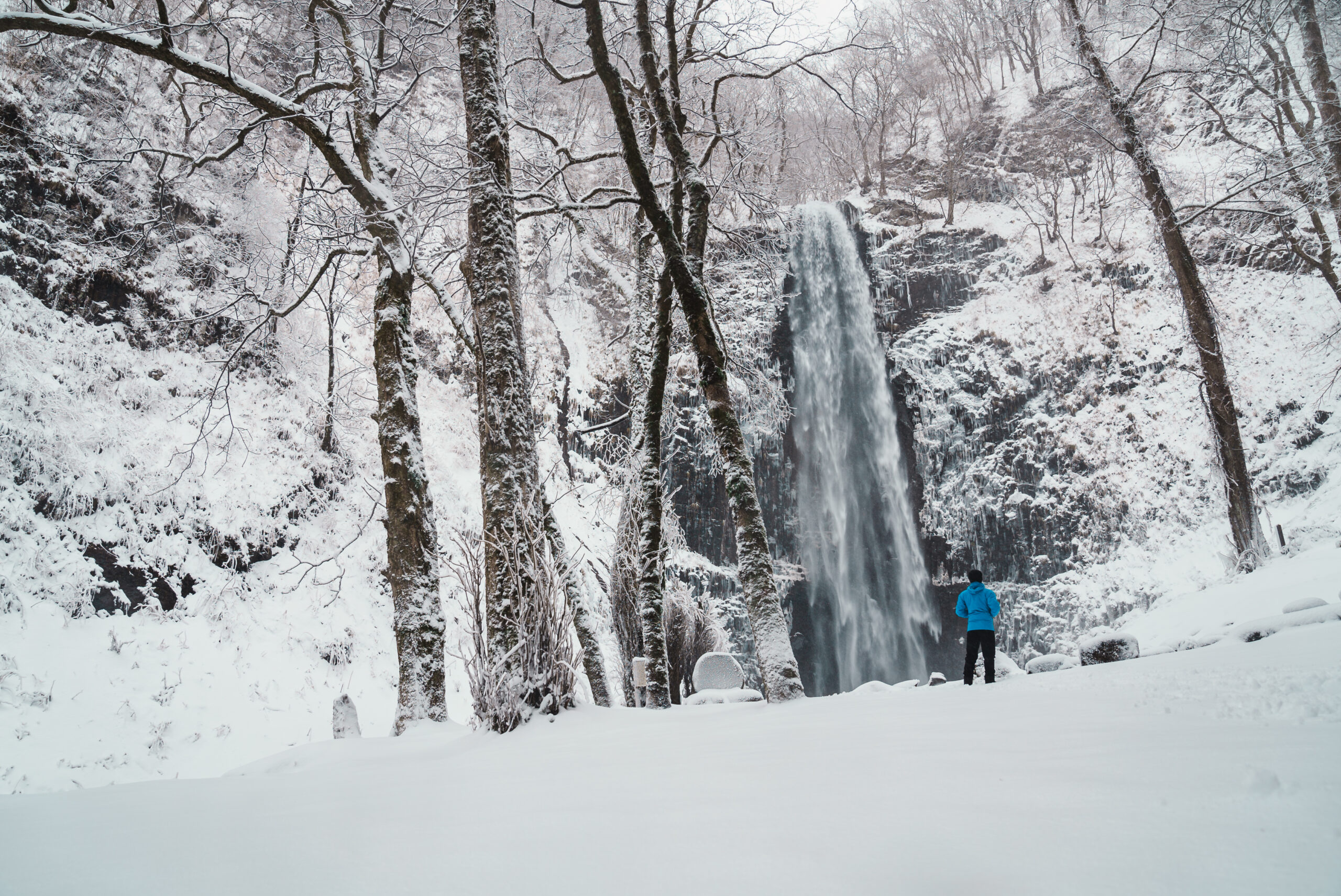 山形県随一の高さ63m、幅5mの玉簾の滝。冬は氷瀑を楽しめる。